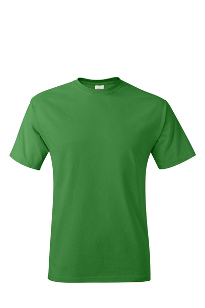 Hanes Authentic T-Shirt