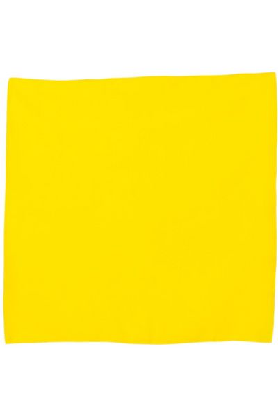 Augusta Sportswear Cotton Bandana